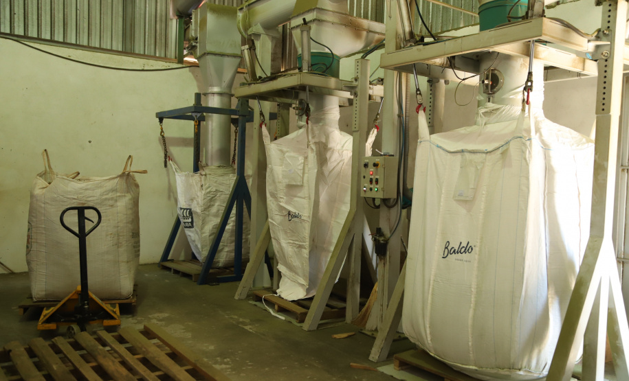 Produção de Erva Mate em São Mateus do Sul. Foto: José Fernando Ogura/ANPr - 01/2019