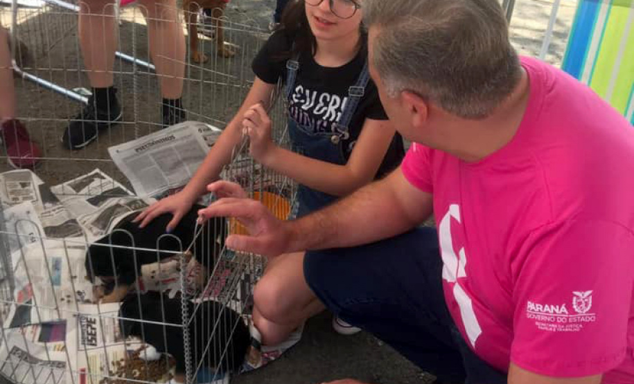 O Paraná Pet Amigo resultou na adoção de 91 animais, consequência dos eventos realizados no Parque Barigui, em Curitiba, e em diversos pontos do Interior do Estado. A ação promovida pela Secretaria de Estado Desenvolvimento Sustentável e do Turismo ocorreu no sábado (05) simultaneamente a outras atividades do Outubro Rosa, com programação integrada pelas Secretarias de Estado da Justiça, Família e Trabalho e da Saúde.