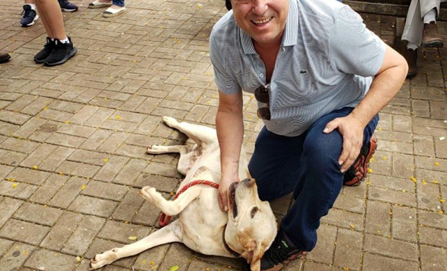 O Paraná Pet Amigo resultou na adoção de 91 animais, consequência dos eventos realizados no Parque Barigui, em Curitiba, e em diversos pontos do Interior do Estado. A ação promovida pela Secretaria de Estado Desenvolvimento Sustentável e do Turismo ocorreu no sábado (05) simultaneamente a outras atividades do Outubro Rosa, com programação integrada pelas Secretarias de Estado da Justiça, Família e Trabalho e da Saúde.