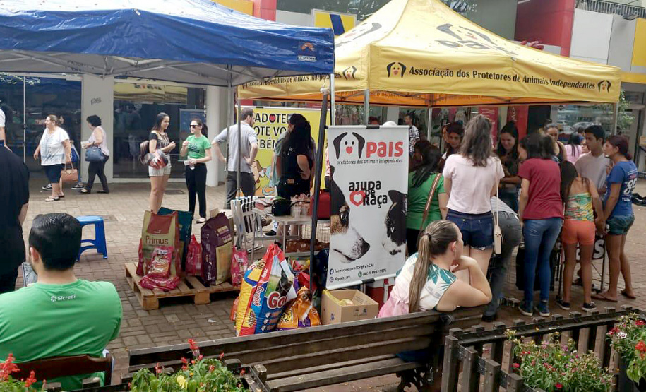 O Paraná Pet Amigo resultou na adoção de 91 animais, consequência dos eventos realizados no Parque Barigui, em Curitiba, e em diversos pontos do Interior do Estado. A ação promovida pela Secretaria de Estado Desenvolvimento Sustentável e do Turismo ocorreu no sábado (05) simultaneamente a outras atividades do Outubro Rosa, com programação integrada pelas Secretarias de Estado da Justiça, Família e Trabalho e da Saúde.