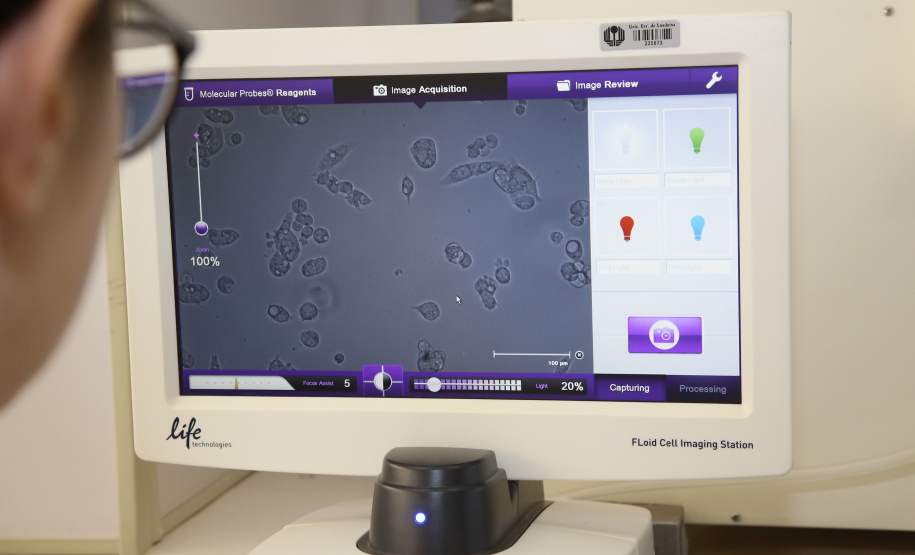 As universidade estaduais do Paraná estão entre as mais inovadoras do Brasil, segundo o Ranking Universitário da Folha de São Paulo (RUF), divulgado segunda-feira (7). Foram avaliadas 196 universidades brasileiras, públicas e privadas de acordo com indicadores de inovação, pesquisa, internacionalização, ensino e mercado.