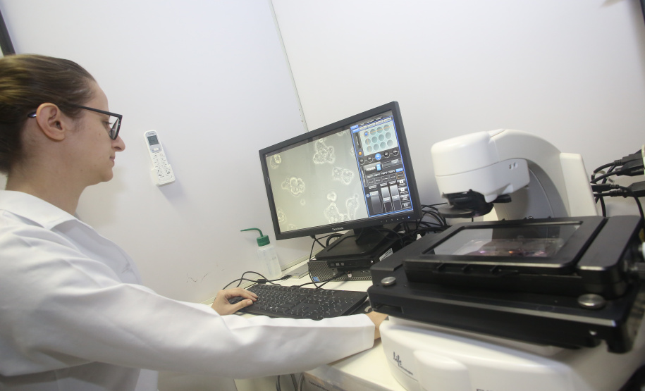 As universidade estaduais do Paraná estão entre as mais inovadoras do Brasil, segundo o Ranking Universitário da Folha de São Paulo (RUF), divulgado segunda-feira (7). Foram avaliadas 196 universidades brasileiras, públicas e privadas de acordo com indicadores de inovação, pesquisa, internacionalização, ensino e mercado.