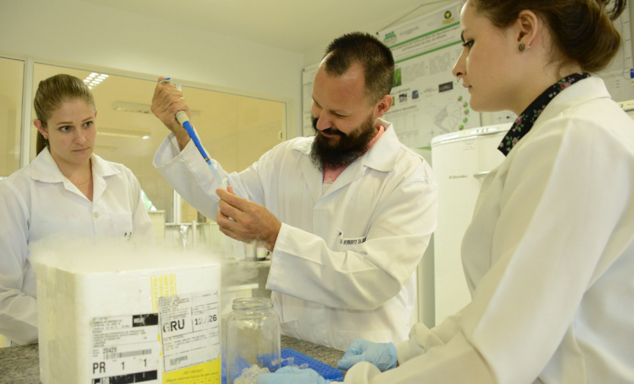 As universidade estaduais do Paraná estão entre as mais inovadoras do Brasil, segundo o Ranking Universitário da Folha de São Paulo (RUF), divulgado segunda-feira (7). Foram avaliadas 196 universidades brasileiras, públicas e privadas de acordo com indicadores de inovação, pesquisa, internacionalização, ensino e mercado.