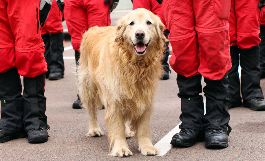 Curitiba, 08 de Outubro de 2019. Solenidade em Comemoração ao Aniversário do Corpo de Bombeiros