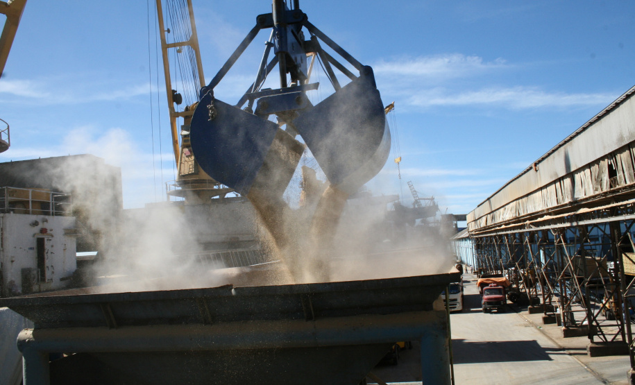 Este ano, a importação de Malte e Cevada pelos Portos do Paraná está maior. A alta de 29% foi registrada na comparação entre os meses de janeiro a setembro de 2019 e 2018. Outro granel de importação que apresenta alta no fechamento do período é o trigo: 33% a mais do cereal. Foto: Arquivo/Portos do Paraná