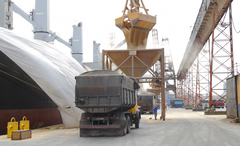 Este ano, a importação de Malte e Cevada pelos Portos do Paraná está maior. A alta de 29% foi registrada na comparação entre os meses de janeiro a setembro de 2019 e 2018. Outro granel de importação que apresenta alta no fechamento do período é o trigo: 33% a mais do cereal. Foto: Arquivo/Portos do Paraná