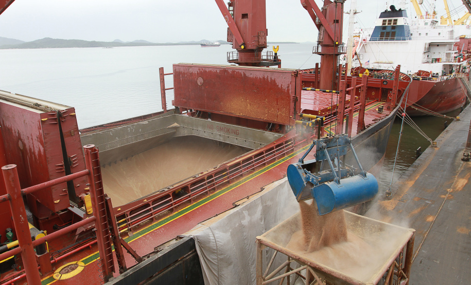 Este ano, a importação de Malte e Cevada pelos Portos do Paraná está maior. A alta de 29% foi registrada na comparação entre os meses de janeiro a setembro de 2019 e 2018. Outro granel de importação que apresenta alta no fechamento do período é o trigo: 33% a mais do cereal. Foto: Arquivo/Portos do Paraná