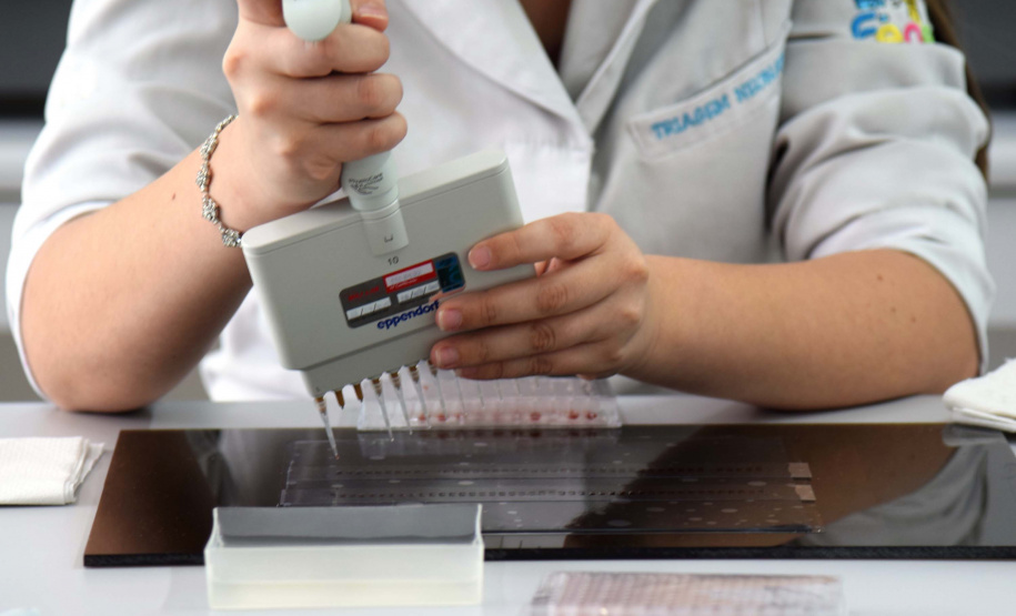 O Paraná ampliou em 17% o número de Teste da Mãezinha em 2019, em comparação aos dois últimos anos. De janeiro até 30 de setembro, 51.191 mulheres fizeram o procedimento para identificação de situações que podem levar risco à gestação e ao parto prematuro, a exemplo da doença falciforme e a talassemia. A coleta de sangue para o exame é recomendada a partir do primeiro trimestre da gravidez. Foto: Divulgação/SESA