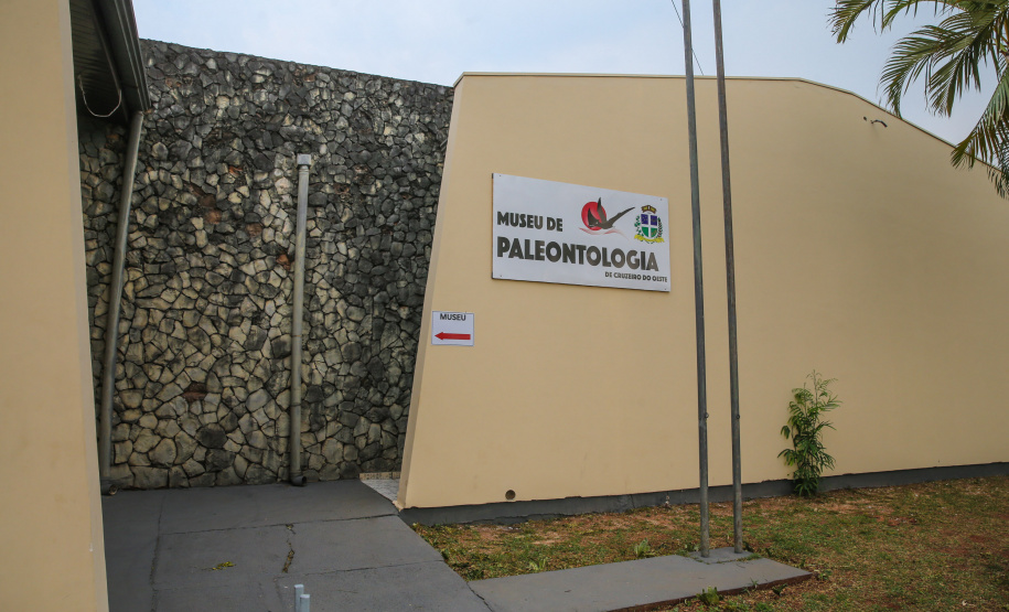 Uma escavação na beira da estrada para escoar a água da chuva acabou revelando um dos sítios paleontológicos mais importantes do Brasil, localizado em Cruzeiro do Oeste, no Noroeste do Paraná