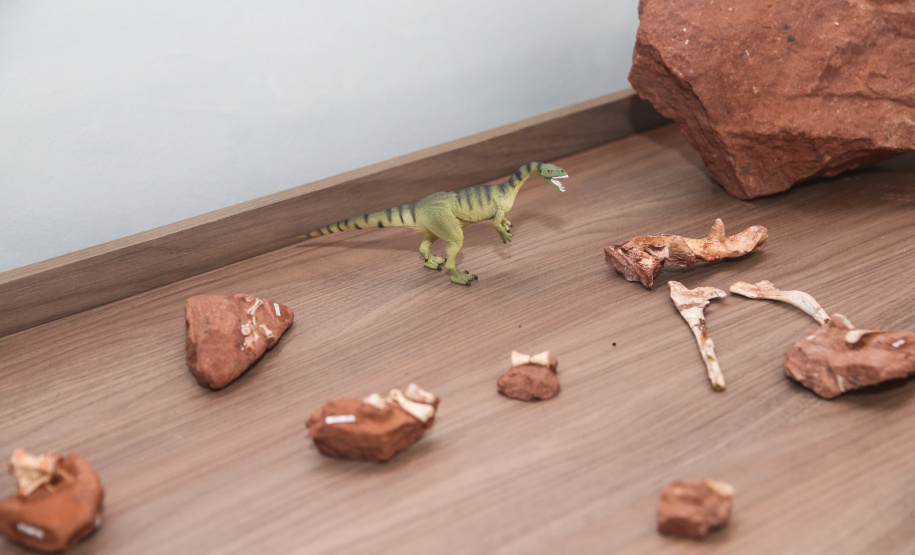 Uma escavação na beira da estrada para escoar a água da chuva acabou revelando um dos sítios paleontológicos mais importantes do Brasil, localizado em Cruzeiro do Oeste, no Noroeste do Paraná