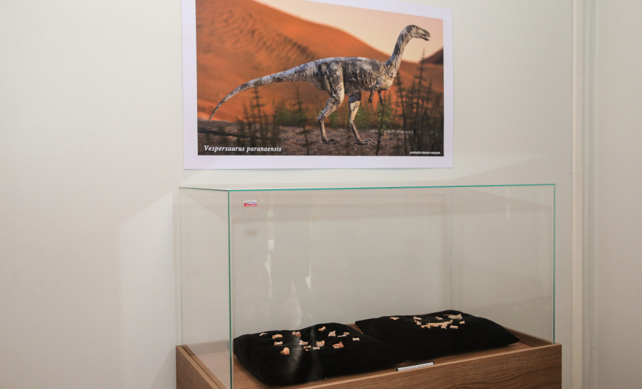 Uma escavação na beira da estrada para escoar a água da chuva acabou revelando um dos sítios paleontológicos mais importantes do Brasil, localizado em Cruzeiro do Oeste, no Noroeste do Paraná