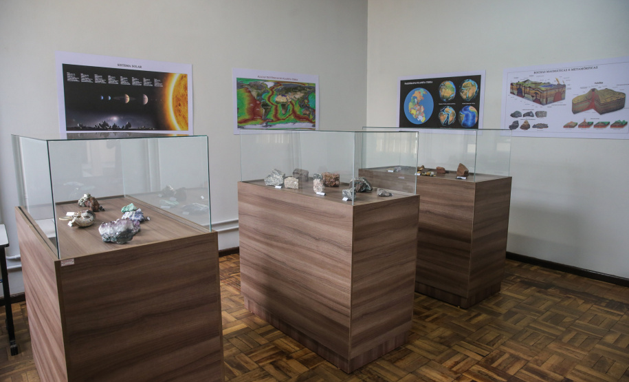 Uma escavação na beira da estrada para escoar a água da chuva acabou revelando um dos sítios paleontológicos mais importantes do Brasil, localizado em Cruzeiro do Oeste, no Noroeste do Paraná