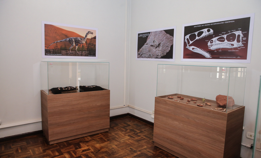 Uma escavação na beira da estrada para escoar a água da chuva acabou revelando um dos sítios paleontológicos mais importantes do Brasil, localizado em Cruzeiro do Oeste, no Noroeste do Paraná