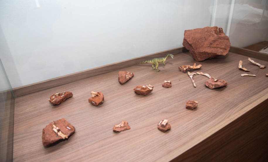 Uma escavação na beira da estrada para escoar a água da chuva acabou revelando um dos sítios paleontológicos mais importantes do Brasil, localizado em Cruzeiro do Oeste, no Noroeste do Paraná