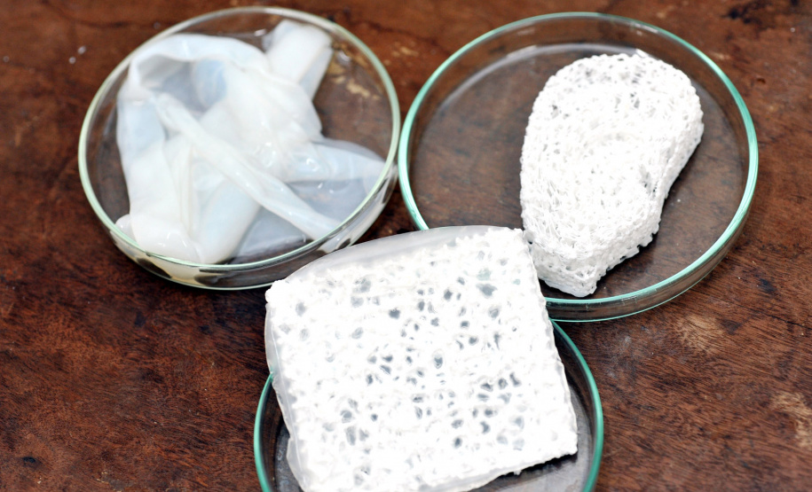 Pesquisa da UEL cria membrana que recupera pele, osso e cartilagem. Foto: Divulgação/UEL