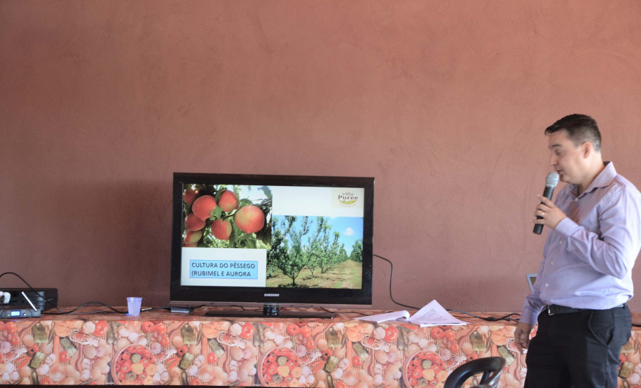 Um novo empreendimento de fruticultura, que recebe investimentos de R$ 26 milhões e está sendo instalado em Santo Antonio do Paraíso, no Norte Pioneiro, deverá impactar a economia da região. O empreendimento Vila Puree é integrado com produtores, que vão produzir oito tipos de frutas para extração da polpa. A renda que será gerada no campo está estimada em R$ 3,2 milhões por ano agrícola. Foto:Divulgação/SEAB