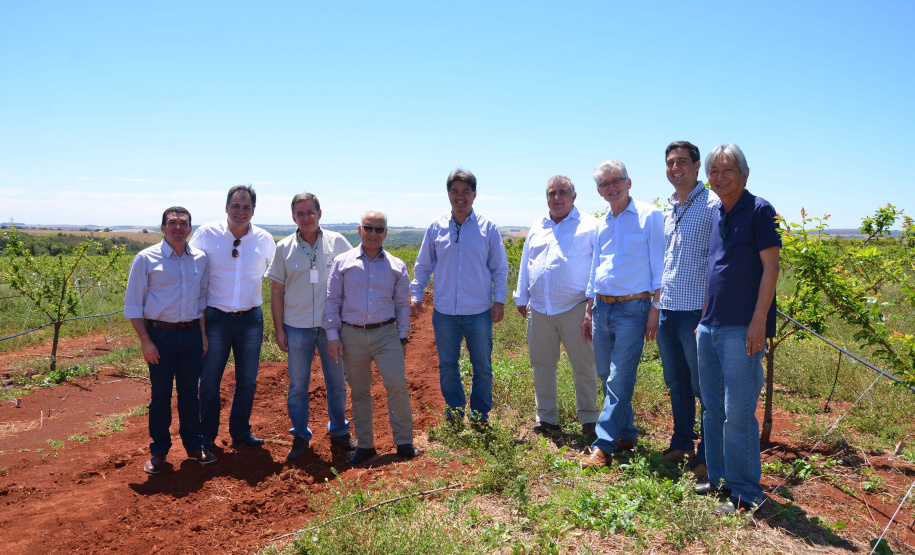 Um novo empreendimento de fruticultura, que recebe investimentos de R$ 26 milhões e está sendo instalado em Santo Antonio do Paraíso, no Norte Pioneiro, deverá impactar a economia da região. O empreendimento Vila Puree é integrado com produtores, que vão produzir oito tipos de frutas para extração da polpa. A renda que será gerada no campo está estimada em R$ 3,2 milhões por ano agrícola. Foto:Divulgação/SEAB