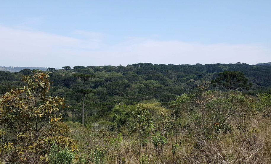 Uma equipe técnica do Instituto Ambiental do Paraná (IAP) fez vistorias de monitoramento em nove Reservas Particulares do Patrimônio Natural (RPPNs). As vistorias estão previstas no Projeto de Pagamento por Serviços Ambientais (PSA) - edital nº 01/2018 para verificar se as ações estabelecidas no Projeto Individual da Propriedade (PIP) estão sendo cumpridas pelos proprietários dessas áreas. Foto: Divulgação/IAP