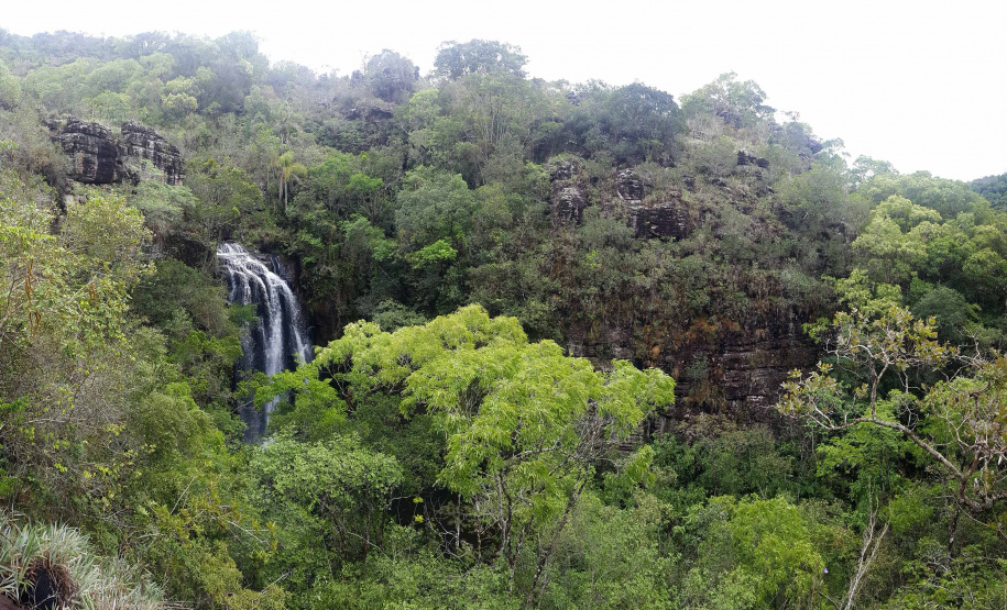 Uma equipe técnica do Instituto Ambiental do Paraná (IAP) fez vistorias de monitoramento em nove Reservas Particulares do Patrimônio Natural (RPPNs). As vistorias estão previstas no Projeto de Pagamento por Serviços Ambientais (PSA) - edital nº 01/2018 para verificar se as ações estabelecidas no Projeto Individual da Propriedade (PIP) estão sendo cumpridas pelos proprietários dessas áreas. Foto: Divulgação/IAP