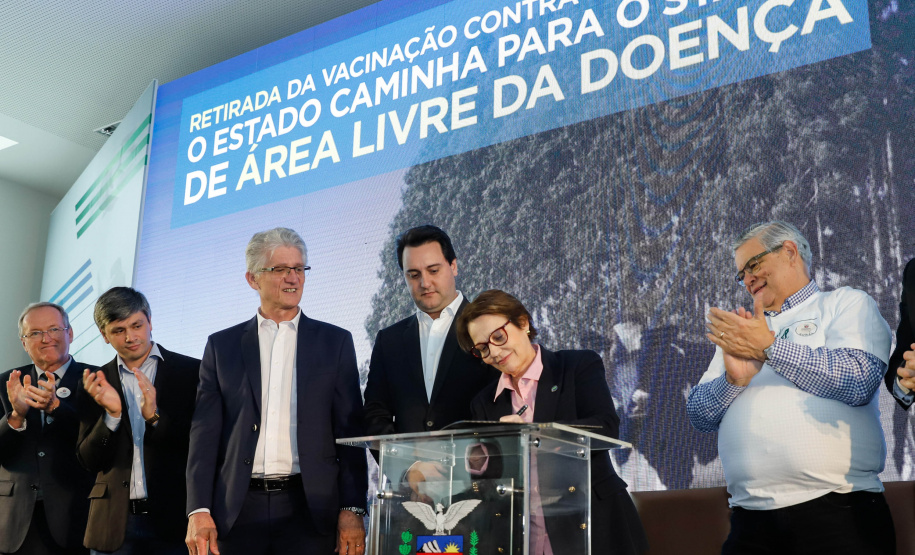 O Paraná deixará de vacinar os rebanhos de bovinos e bubalinos contra a febre aftosa a partir de 31 de outubro. A suspensão da vacinação foi autorizada por instrução normativa assinada nesta terça-feira (15) pela ministra da Agricultura, Pecuária e Abastecimento, Tereza Cristina, e o governador Carlos Massa Ratinho Junior, no Palácio Iguaçu.