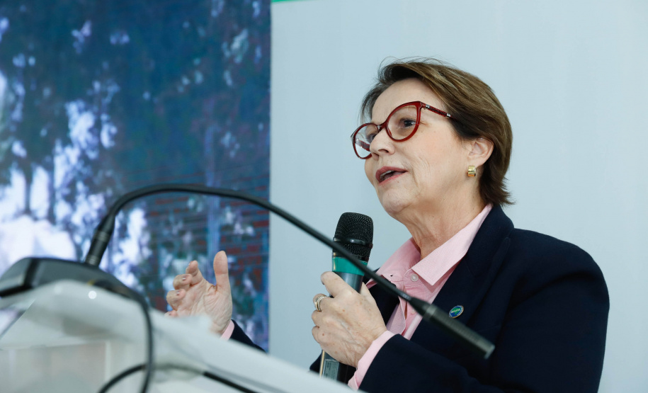 O Paraná deixará de vacinar os rebanhos de bovinos e bubalinos contra a febre aftosa a partir de 31 de outubro. A suspensão da vacinação foi autorizada por instrução normativa assinada nesta terça-feira (15) pela ministra da Agricultura, Pecuária e Abastecimento, Tereza Cristina, e o governador Carlos Massa Ratinho Junior, no Palácio Iguaçu.