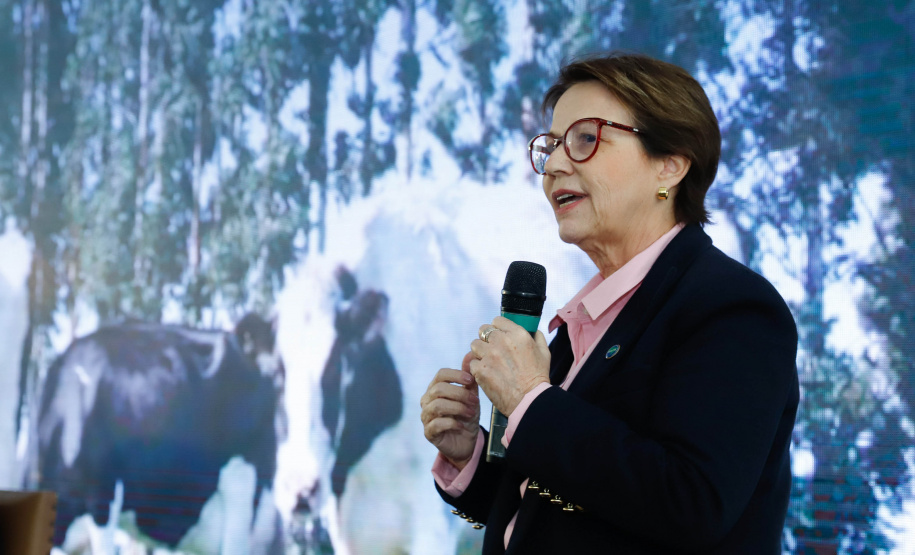 O Paraná deixará de vacinar os rebanhos de bovinos e bubalinos contra a febre aftosa a partir de 31 de outubro. A suspensão da vacinação foi autorizada por instrução normativa assinada nesta terça-feira (15) pela ministra da Agricultura, Pecuária e Abastecimento, Tereza Cristina, e o governador Carlos Massa Ratinho Junior, no Palácio Iguaçu.