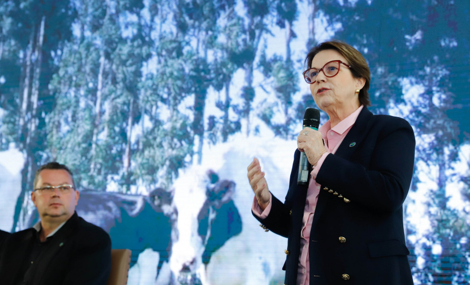 O Paraná deixará de vacinar os rebanhos de bovinos e bubalinos contra a febre aftosa a partir de 31 de outubro. A suspensão da vacinação foi autorizada por instrução normativa assinada nesta terça-feira (15) pela ministra da Agricultura, Pecuária e Abastecimento, Tereza Cristina, e o governador Carlos Massa Ratinho Junior, no Palácio Iguaçu.