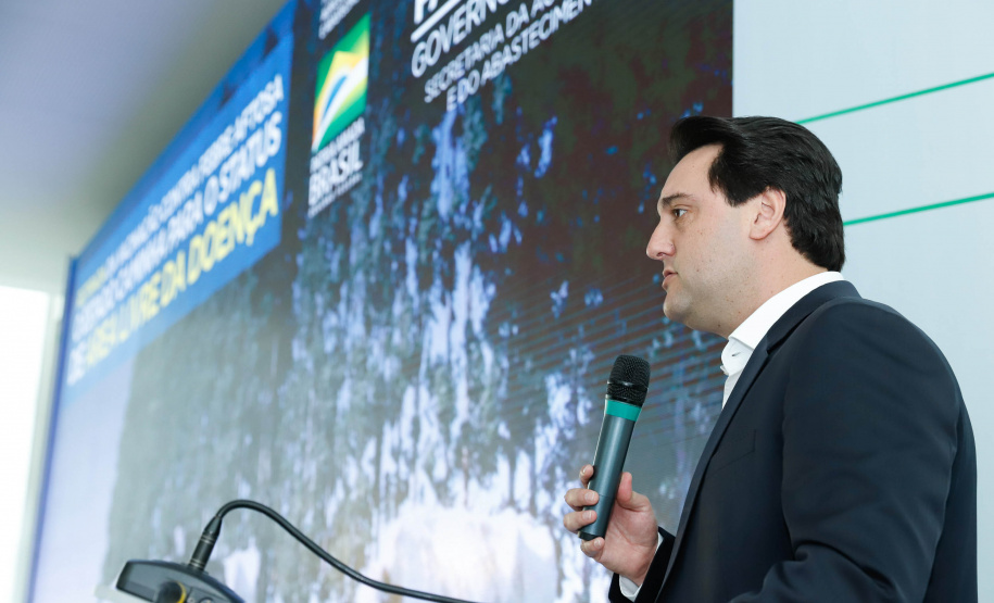 O Paraná deixará de vacinar os rebanhos de bovinos e bubalinos contra a febre aftosa a partir de 31 de outubro. A suspensão da vacinação foi autorizada por instrução normativa assinada nesta terça-feira (15) pela ministra da Agricultura, Pecuária e Abastecimento, Tereza Cristina, e o governador Carlos Massa Ratinho Junior, no Palácio Iguaçu.