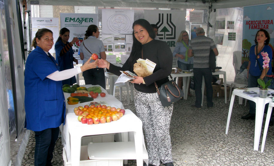 A professora Sirlei Martins, do Centro Municipal de Educação Infantil (Cmei) Iracema, instalado no Bairro Cajuru, em Curitiba, não escondeu o contentamento ao entrar na barraca. Enquanto recolhia folhetos explicativos sobre horta e alimentação saudável, ela comentou seu interesse. Quando chegou ao Cmei no início do ano viu que vários de seus alunos desprezavam o alface e o tomate dos sanduíches naturais que recebiam.Foto: Divulgação/SEAB