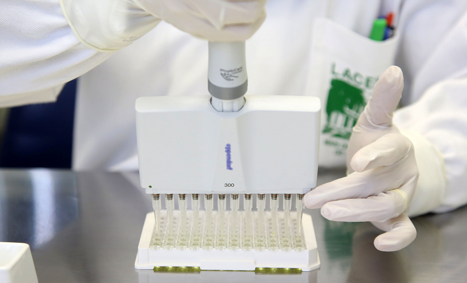 Paraná confirma 730 casos de dengue e os primeiros de Zika Vírus. Foto: Jaelson Lucas/AEN