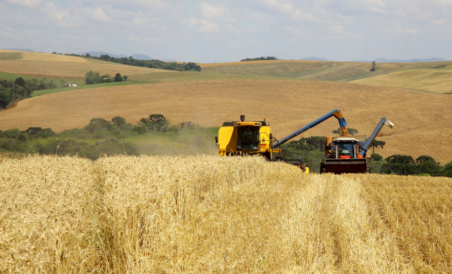 Colheita de trigo. Pitanga,11/10/2019 Foto:Jaelson Lucas / AEN
