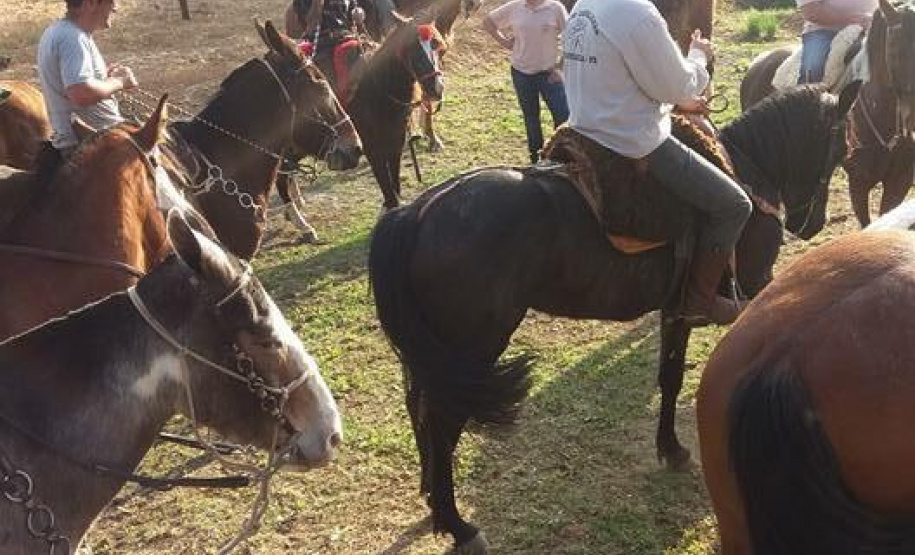 Um dos passeios mais alternativos do Paraná é o roteiro Caminhos do Guajuvira, em Araucária, na Região Metropolitana de Curitiba, onde os prédios dão espaço para a história e a vida no campo. O roteiro completo recebeu mais de 10 mil turistas desde a sua abertura, em 2004, e faz parte do planejamento turístico do Estado de explorar também os potenciais pouco conhecidos da Grande Curitiba. Foto: Eusébio Scherreir.