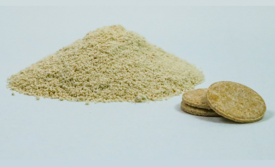 UEL desenvolve bioinseticida para controle do Aedes aegypti. Foto: UEL