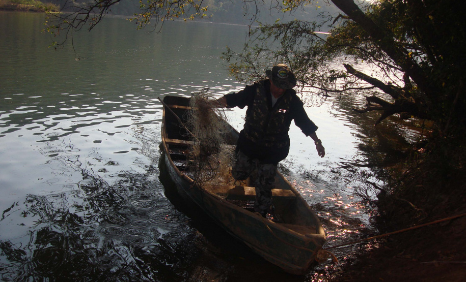 O Instituto Ambiental do Paraná (IAP) anuncia o período de restrição à pesca de espécies nativas no Paraná a partir desta sexta-feira (01) e segue até março de 2020. Todas as espécies nativas do Estado são protegidas, como bagre, dourado, jaú, pintado e lambari. É durante esse período, conhecido como piracema, que a maioria delas se reproduz. Foto: Arquivo/IAP