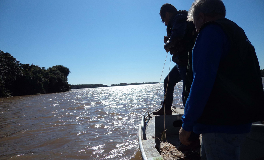 O Instituto Ambiental do Paraná (IAP) anuncia o período de restrição à pesca de espécies nativas no Paraná a partir desta sexta-feira (01) e segue até março de 2020. Todas as espécies nativas do Estado são protegidas, como bagre, dourado, jaú, pintado e lambari. É durante esse período, conhecido como piracema, que a maioria delas se reproduz. Foto: Arquivo/IAP