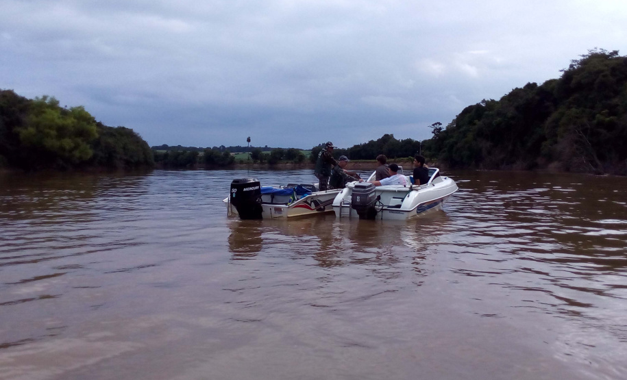 O Instituto Ambiental do Paraná (IAP) anuncia o período de restrição à pesca de espécies nativas no Paraná a partir desta sexta-feira (01) e segue até março de 2020. Todas as espécies nativas do Estado são protegidas, como bagre, dourado, jaú, pintado e lambari. É durante esse período, conhecido como piracema, que a maioria delas se reproduz. Foto: Arquivo/IAP