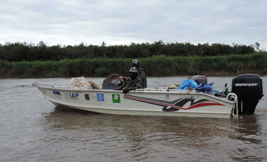 O Instituto Ambiental do Paraná (IAP) anuncia o período de restrição à pesca de espécies nativas no Paraná a partir desta sexta-feira (01) e segue até março de 2020. Todas as espécies nativas do Estado são protegidas, como bagre, dourado, jaú, pintado e lambari. É durante esse período, conhecido como piracema, que a maioria delas se reproduz. Foto: Arquivo/IAP