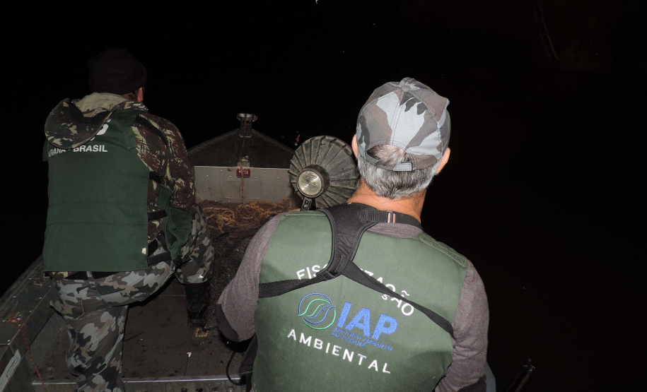 O Instituto Ambiental do Paraná (IAP) anuncia o período de restrição à pesca de espécies nativas no Paraná a partir desta sexta-feira (01) e segue até março de 2020. Todas as espécies nativas do Estado são protegidas, como bagre, dourado, jaú, pintado e lambari. É durante esse período, conhecido como piracema, que a maioria delas se reproduz. Foto: Arquivo/IAP
