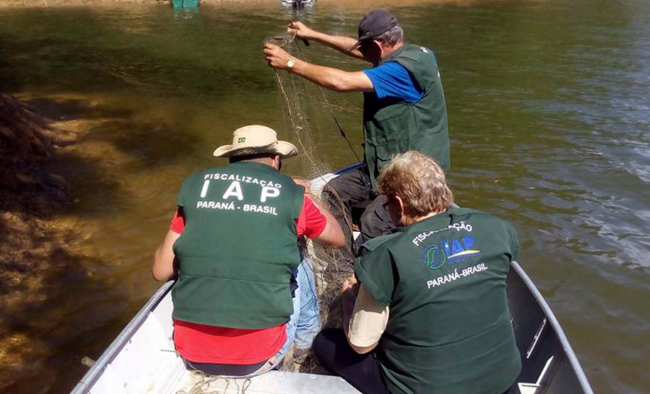O Instituto Ambiental do Paraná (IAP) anuncia o período de restrição à pesca de espécies nativas no Paraná a partir desta sexta-feira (01) e segue até março de 2020. Todas as espécies nativas do Estado são protegidas, como bagre, dourado, jaú, pintado e lambari. É durante esse período, conhecido como piracema, que a maioria delas se reproduz. Foto: Arquivo/IAP