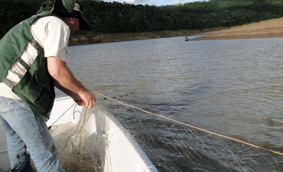 O Instituto Ambiental do Paraná (IAP) anuncia o período de restrição à pesca de espécies nativas no Paraná a partir desta sexta-feira (01) e segue até março de 2020. Todas as espécies nativas do Estado são protegidas, como bagre, dourado, jaú, pintado e lambari. É durante esse período, conhecido como piracema, que a maioria delas se reproduz. Foto: Arquivo/IAP