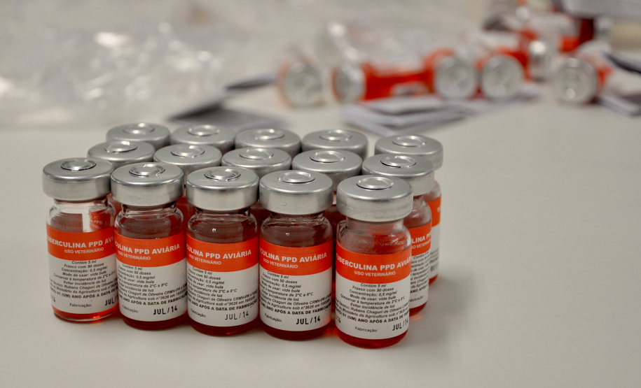 Paraná vai fabricar produtos de diagnósticos veterinário . Foto: Tecpar