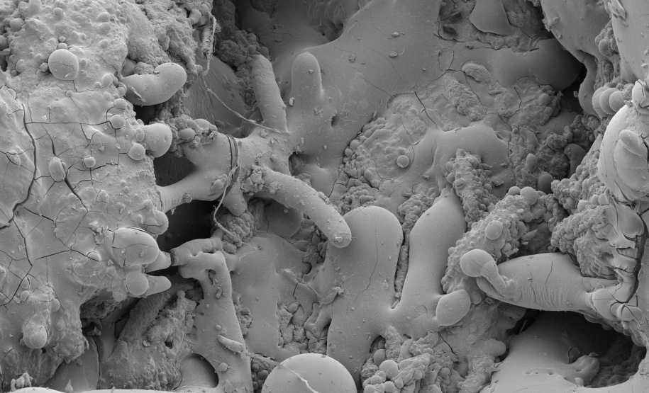 O livro “Politopos Irregulares”, da artista Didonet Thomaz, será lançado neste sábado (16), às 11h, no miniauditório do Museu Oscar Niemeyer (MON). É o desdobramento da exposição homônima que ficou em cartaz no Museu até março deste ano.