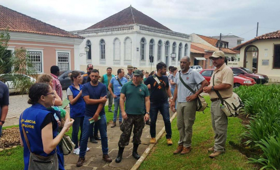 A Secretaria da Saúde do Paraná orienta a manter os ambientes limpos e organizados para evitar o aparecimento de animais peçonhentos, como aranhas, escorpiões, serpentes, que têm maior incidência em períodos de calor. Dados de 2018 indicam que no Paraná aconteceram mais de 18 mil acidentes com algum tipo de animal peçonhento.Foto: Divulgação/SESA