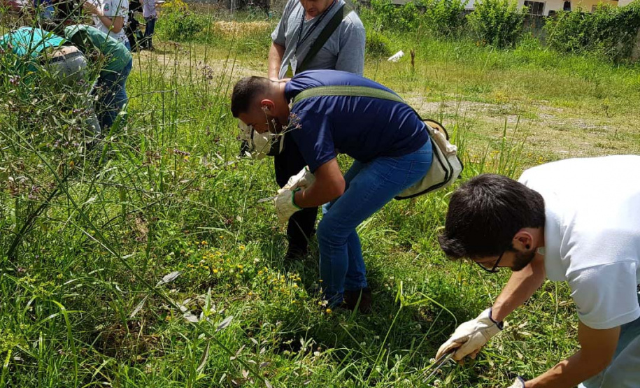 A Secretaria da Saúde do Paraná orienta a manter os ambientes limpos e organizados para evitar o aparecimento de animais peçonhentos, como aranhas, escorpiões, serpentes, que têm maior incidência em períodos de calor. Dados de 2018 indicam que no Paraná aconteceram mais de 18 mil acidentes com algum tipo de animal peçonhento.Foto: Divulgação/SESA