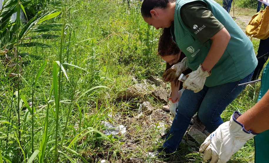 A Secretaria da Saúde do Paraná orienta a manter os ambientes limpos e organizados para evitar o aparecimento de animais peçonhentos, como aranhas, escorpiões, serpentes, que têm maior incidência em períodos de calor. Dados de 2018 indicam que no Paraná aconteceram mais de 18 mil acidentes com algum tipo de animal peçonhento.Foto: Divulgação/SESA