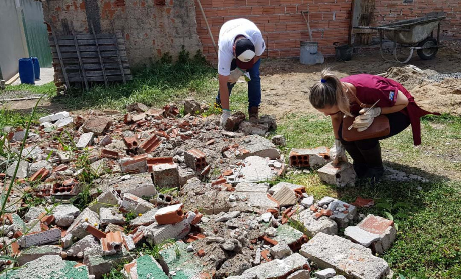 A Secretaria da Saúde do Paraná orienta a manter os ambientes limpos e organizados para evitar o aparecimento de animais peçonhentos, como aranhas, escorpiões, serpentes, que têm maior incidência em períodos de calor. Dados de 2018 indicam que no Paraná aconteceram mais de 18 mil acidentes com algum tipo de animal peçonhento.Foto: Divulgação/SESA