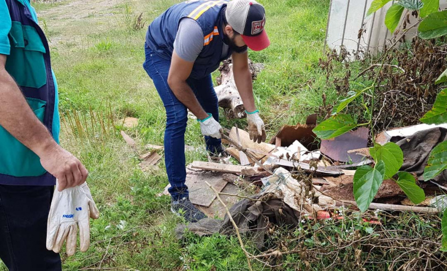 A Secretaria da Saúde do Paraná orienta a manter os ambientes limpos e organizados para evitar o aparecimento de animais peçonhentos, como aranhas, escorpiões, serpentes, que têm maior incidência em períodos de calor. Dados de 2018 indicam que no Paraná aconteceram mais de 18 mil acidentes com algum tipo de animal peçonhento.Foto: Divulgação/SESA