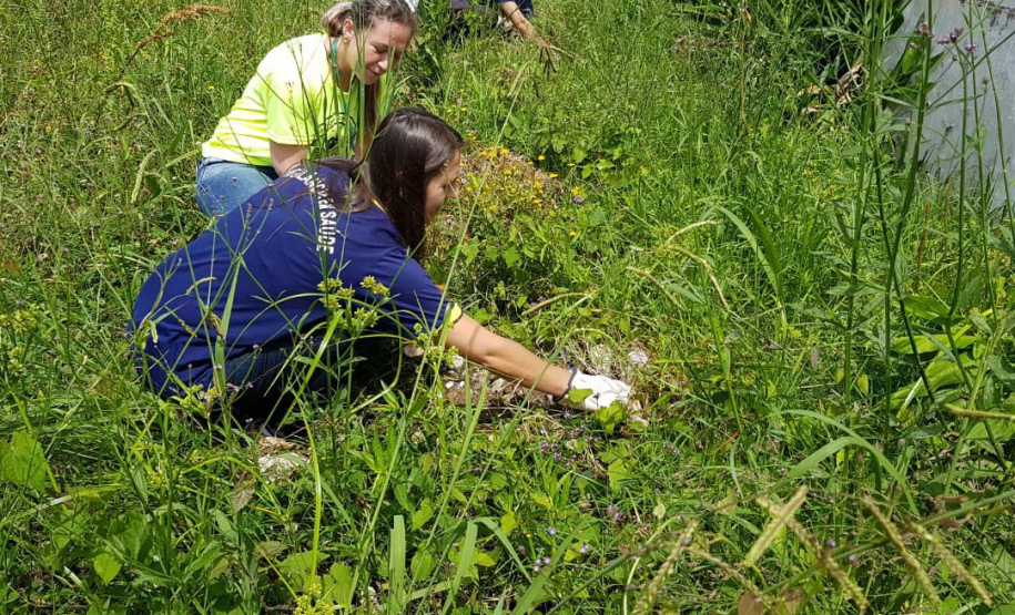 A Secretaria da Saúde do Paraná orienta a manter os ambientes limpos e organizados para evitar o aparecimento de animais peçonhentos, como aranhas, escorpiões, serpentes, que têm maior incidência em períodos de calor. Dados de 2018 indicam que no Paraná aconteceram mais de 18 mil acidentes com algum tipo de animal peçonhento.Foto: Divulgação/SESA
