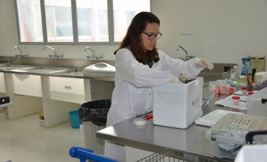 O Centro de Diagnóstico Marcos Enrietti, vinculado à Agência de Defesa Agropecuária do Paraná (Adapar), trabalha como apoio à defesa agropecuária do Paraná e realiza aproximadamente 100 mil exames por ano. Eles ajudam a manter a saúde animal e a sanidade vegetal de boa parte dos produtos consumidos no País e exportados.Foto: Divulgação/SEAB