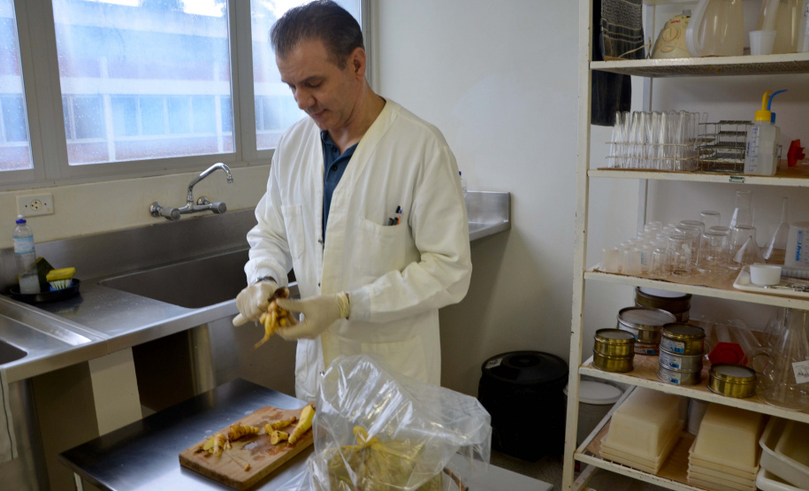 O Centro de Diagnóstico Marcos Enrietti, vinculado à Agência de Defesa Agropecuária do Paraná (Adapar), trabalha como apoio à defesa agropecuária do Paraná e realiza aproximadamente 100 mil exames por ano. Eles ajudam a manter a saúde animal e a sanidade vegetal de boa parte dos produtos consumidos no País e exportados.Foto: Divulgação/SEAB